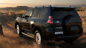 Prado Sophisticated Strength