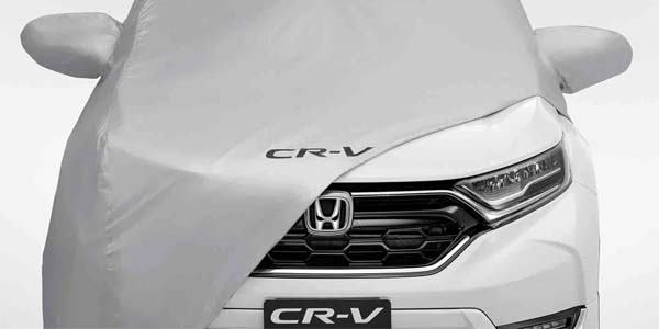 <img src="Body Cover