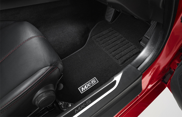 <img src="Floor mats