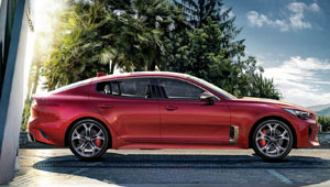 Stinger Perfection from Every Angle