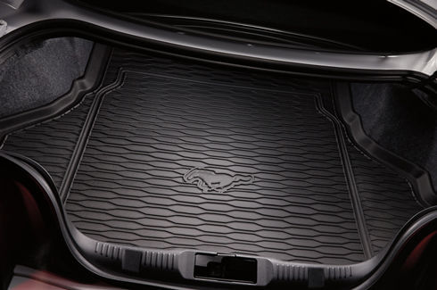 <img src="Cargo liner