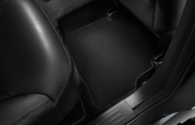 <img src="Rear floor mats