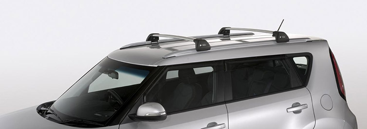 <img src="Roof Cross Bar Set