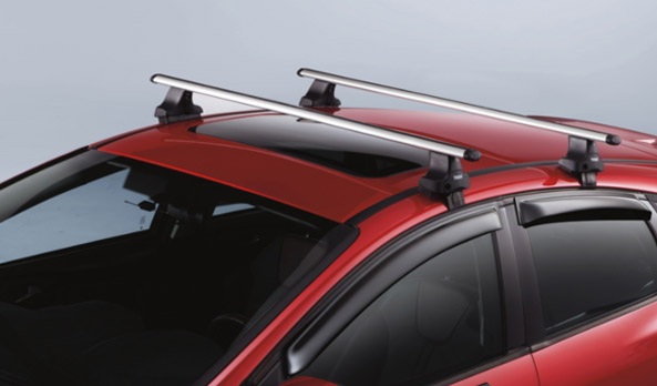 <img src="Carry bars
