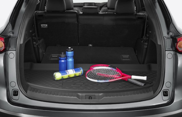 <img src="Cargo tray