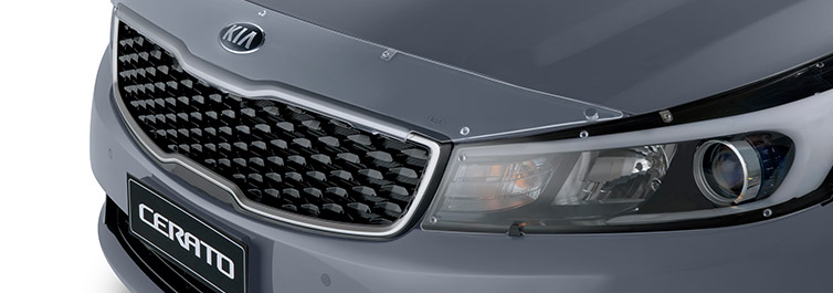 <img src="Bonnet Protector