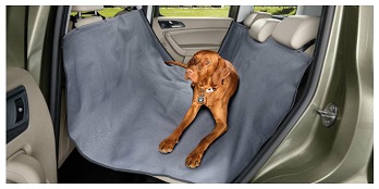 Back Seat Protection