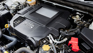 Outback Beaut performance