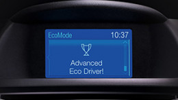 Fiesta Sustainability