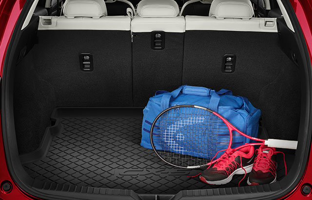 <img src="Cargo tray
