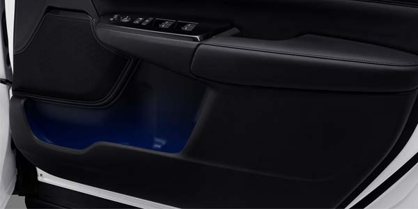 <img src="Door Lining Illumination