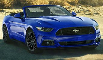 Mustang The Body