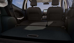 EcoSport On Your Side