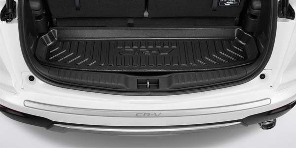 <img src="Cargo Tray