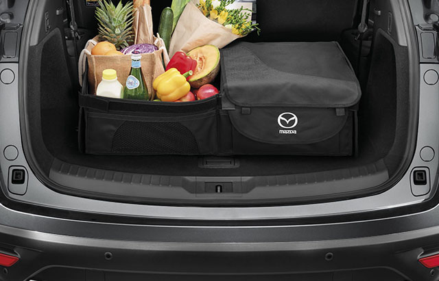 <img src="Cargo organiser box