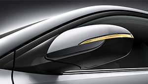 Elantra Mirrors with more