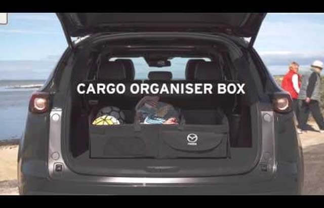 <img src="Cargo organiser box