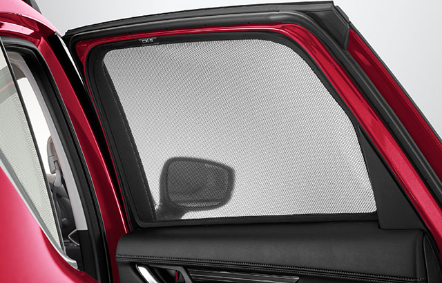 <img src="Rear window shades
