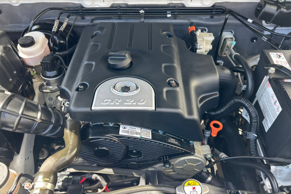 2021 GWM Steed K2 Cab Chassis Image 25