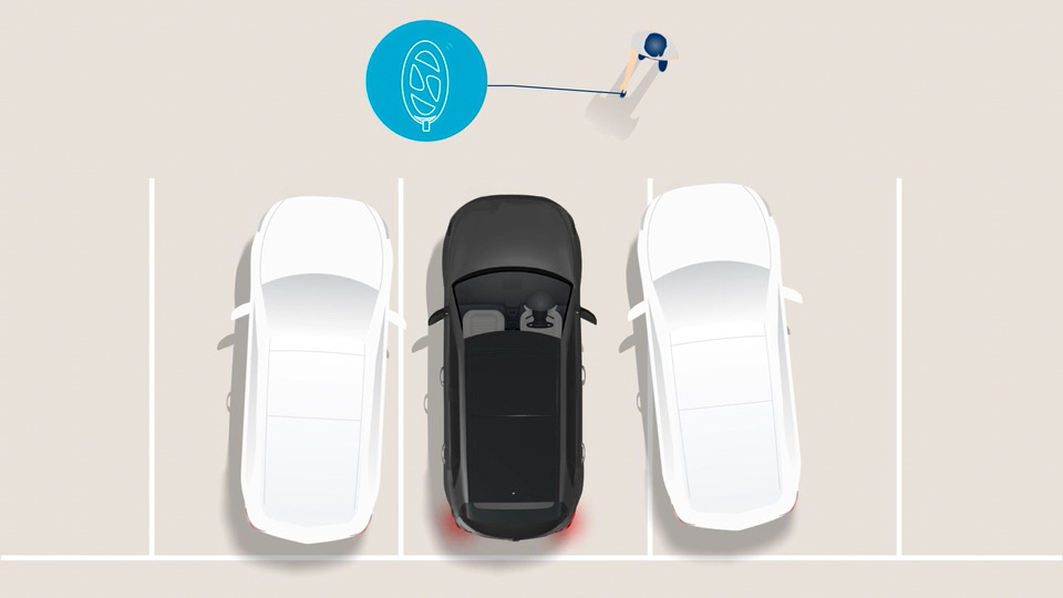 Remote Smart Parking Assist (RSPA2) Image