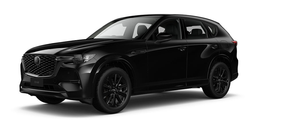 Jet Black Mica