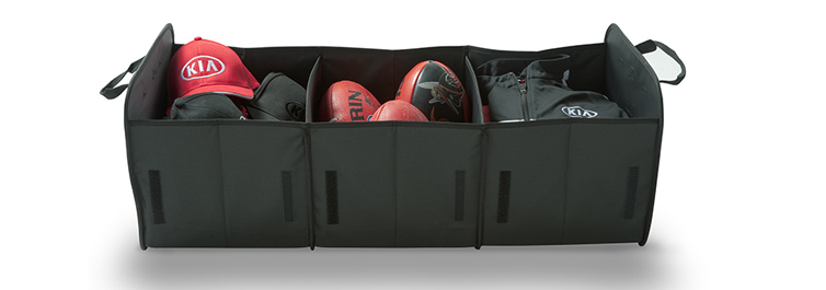Cargo Organiser