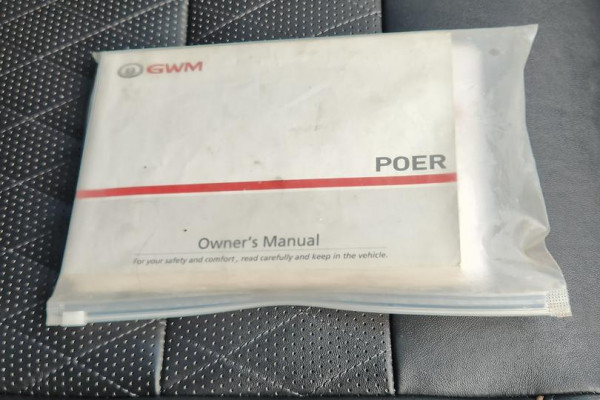 2021 GWM Ute NPW Cannon-X Ute Image 18