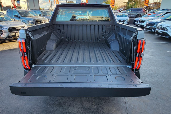 2025 LDV Terron 9 EKK1C Origin Ute Image 9