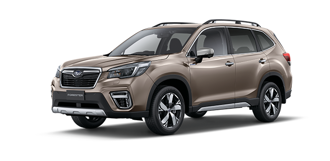 Sepia Bronze Metallic