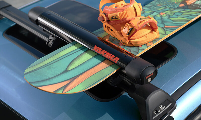 Ski & snowboard carrier