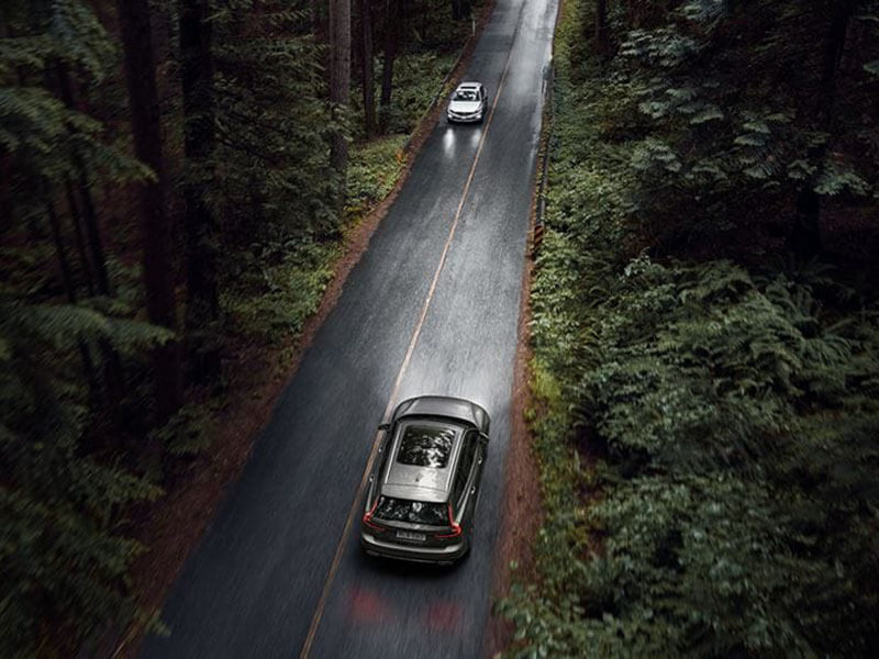 Looking out for you* Image