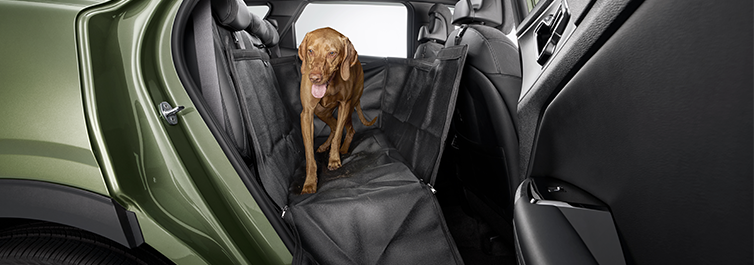 Pet Seat Cover