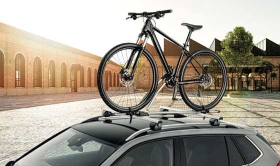 Roof Rack with Bicycle Carrier