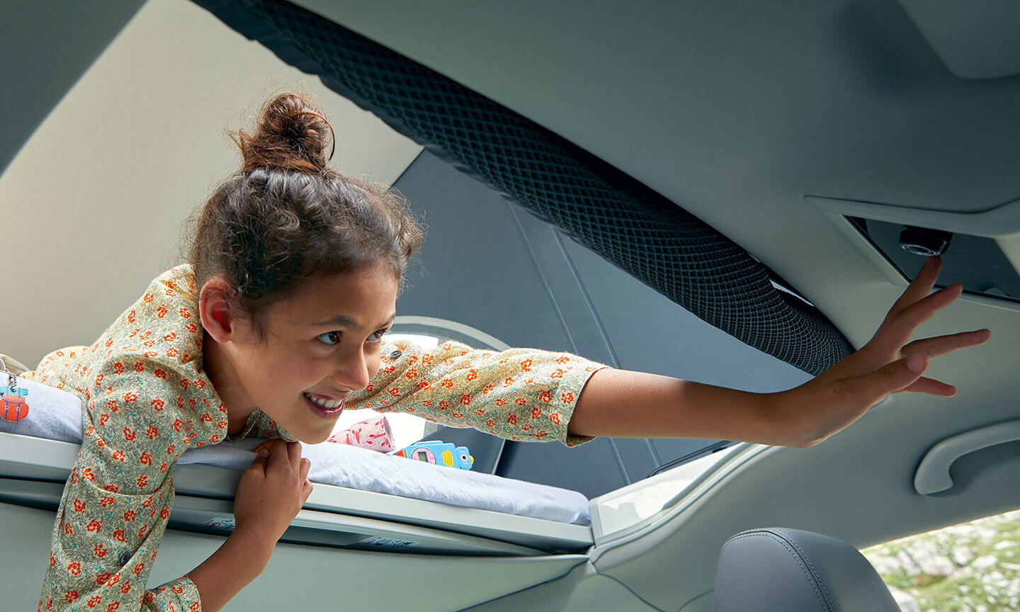 Your window to the world Elevated roof Image