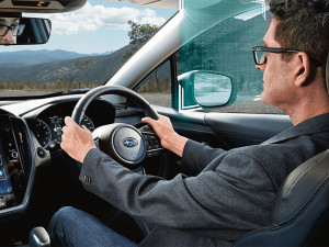 Driver Monitoring System (DMS) Image