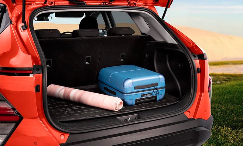 Cargo liner tray