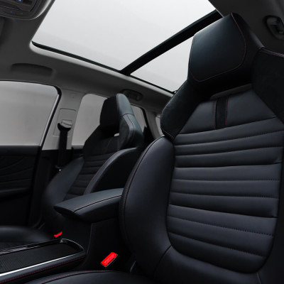 HS Plug-in Hybrid Excite