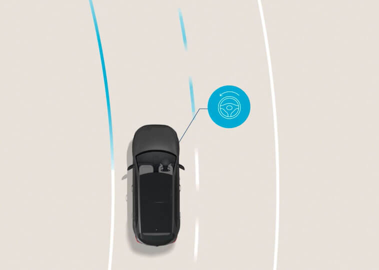 Lane Following Assist (LFA) Image