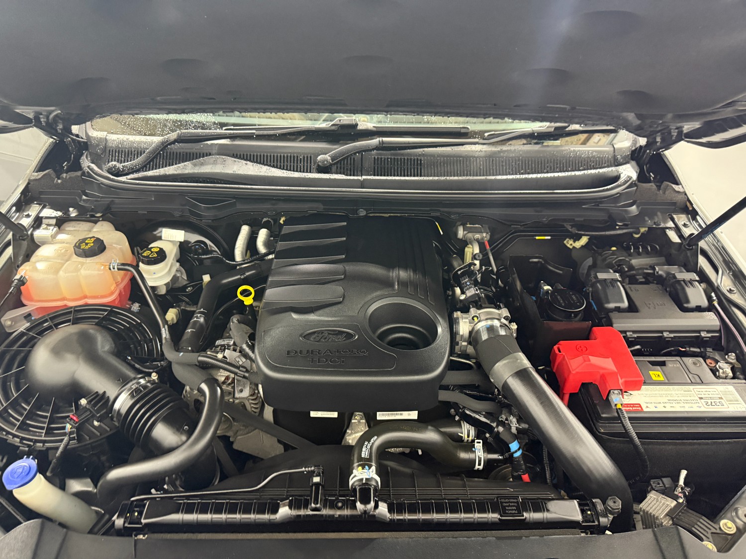 2018 Ford Ranger PX MkII XLT Ute