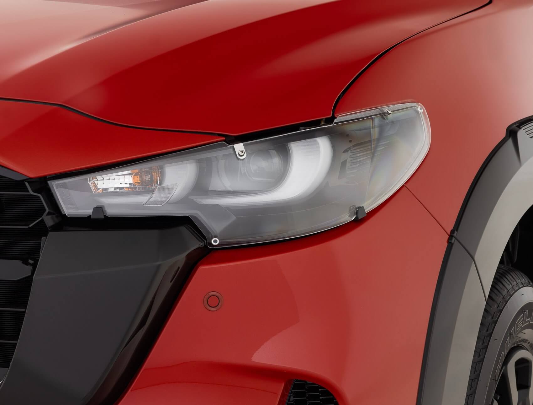 Headlight protector