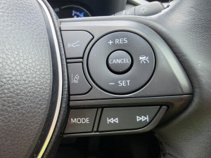 2019 Toyota RAV4 AXAH52R Cruiser SUV