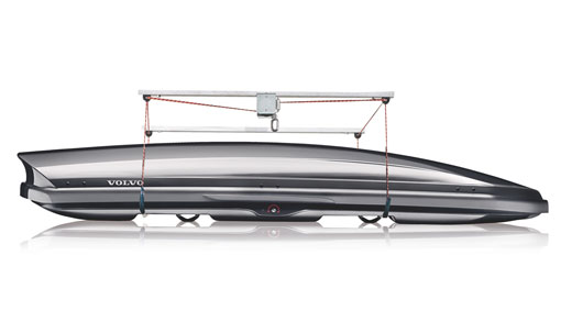 Roof box lift for storage