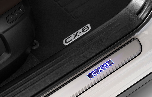 Illuminated scuff plate