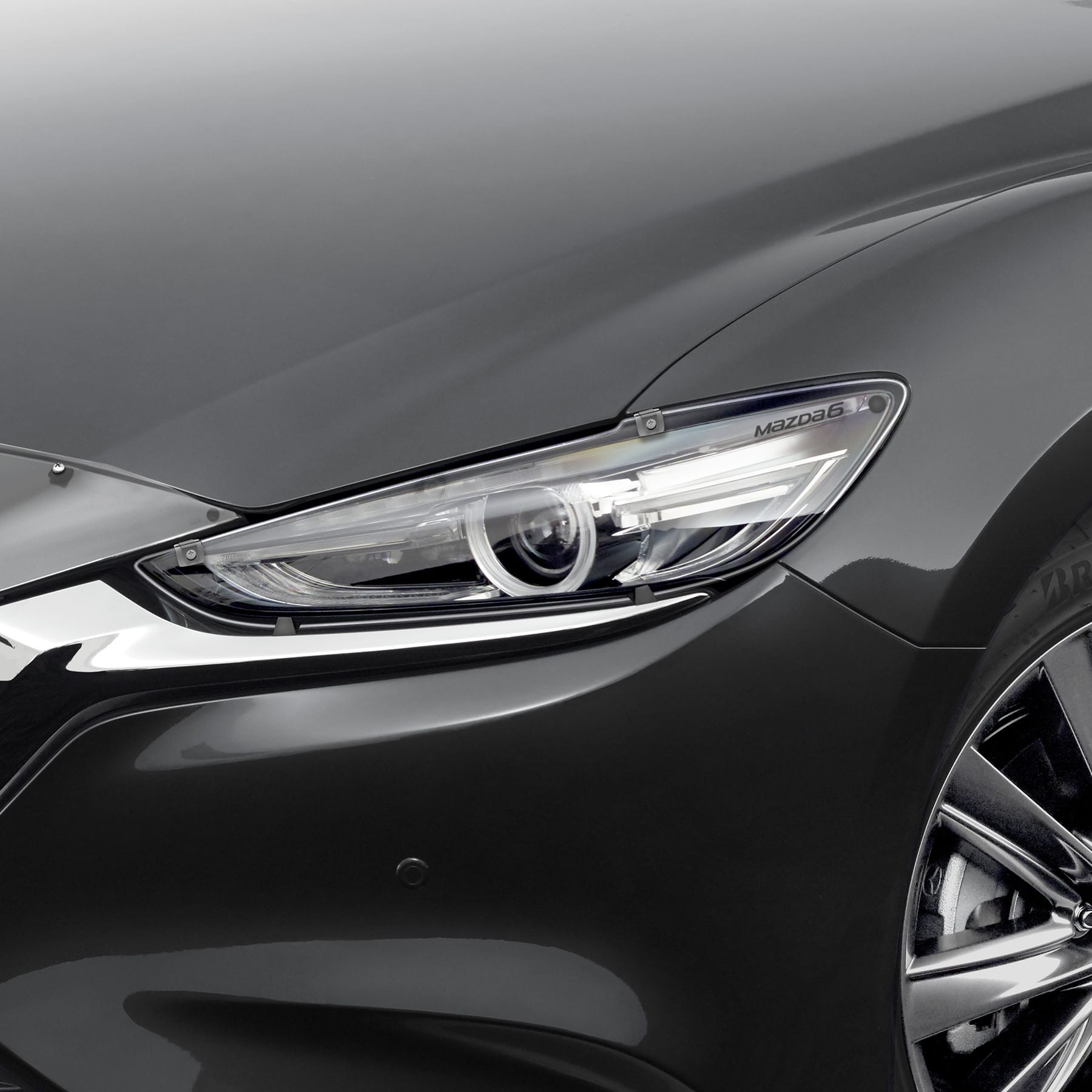 HEADLIGHT PROTECTORS