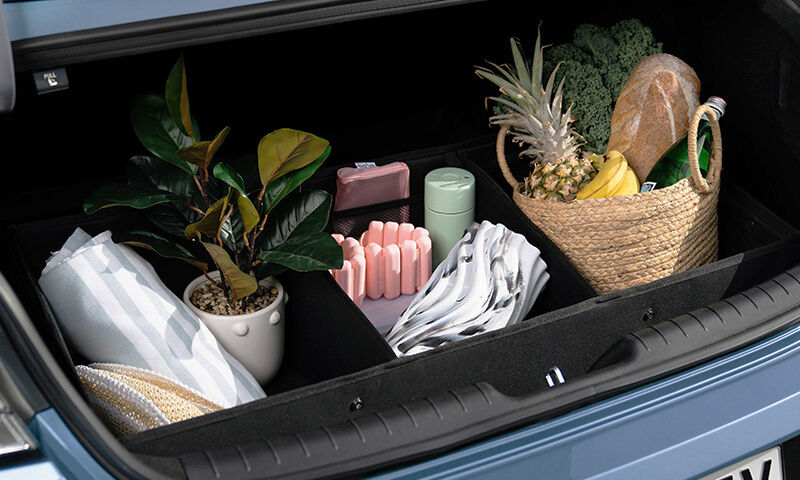 Luxury cargo organiser