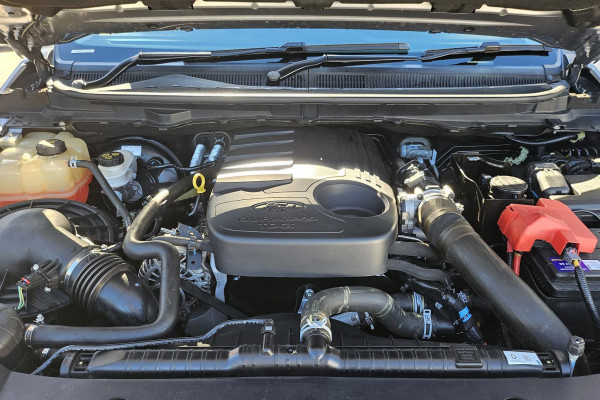 2019 MY20.25 Ford Ranger PX MkIII XLT Ute Image 13