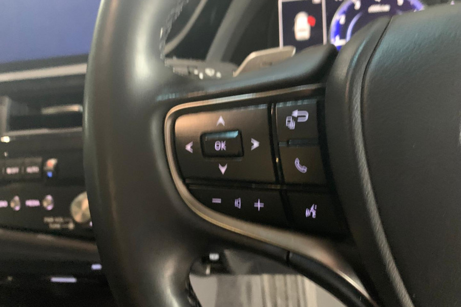 2022 Lexus ES AXZA10R ES250 Luxury Sedan