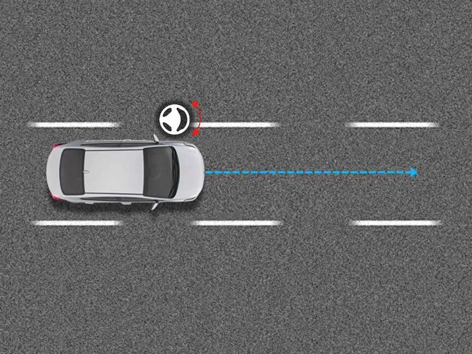 Lane Keeping Assist & Lane Following Assist 2*