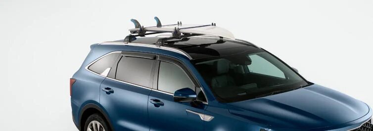 Surfboard Carrier