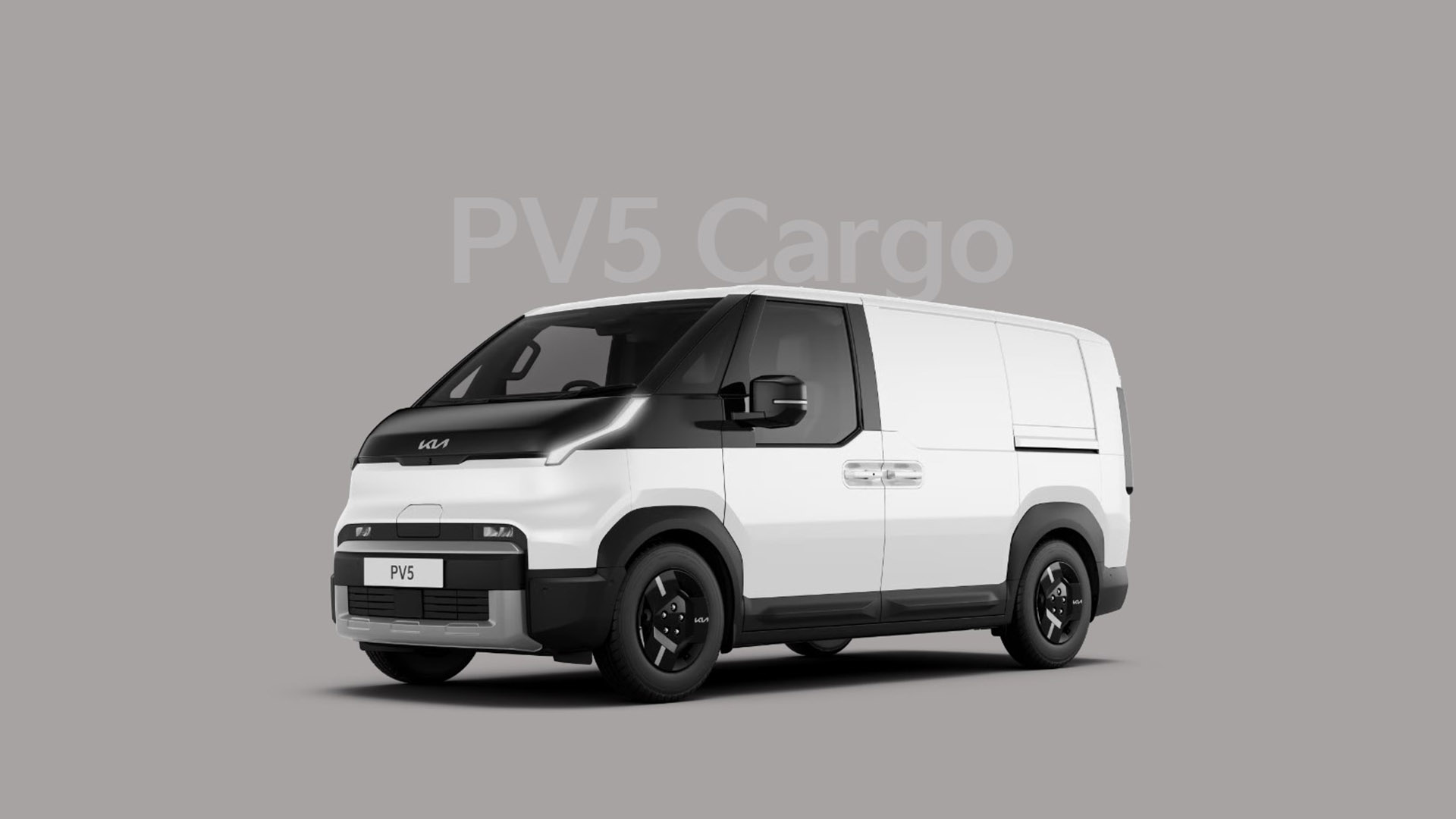 PV5 Cargo Image
